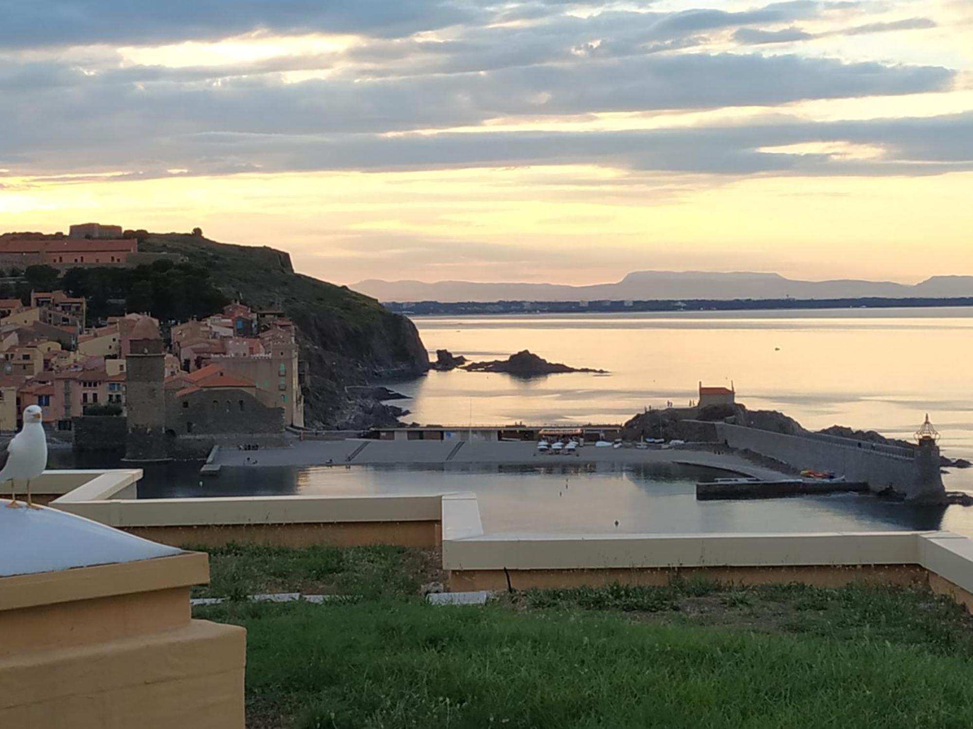 Location Vue Mer Du Samedi Au Samedi, Clim, Parking, Piscine, Plage Collioure Zewnętrze zdjęcie